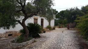 CASA di STELLA
